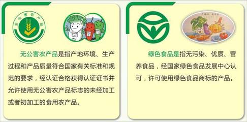 推动初加工与品牌认证协同发展——南头镇“三品一标”农产品认证奖补办法政策解读之食用农产品初加工篇