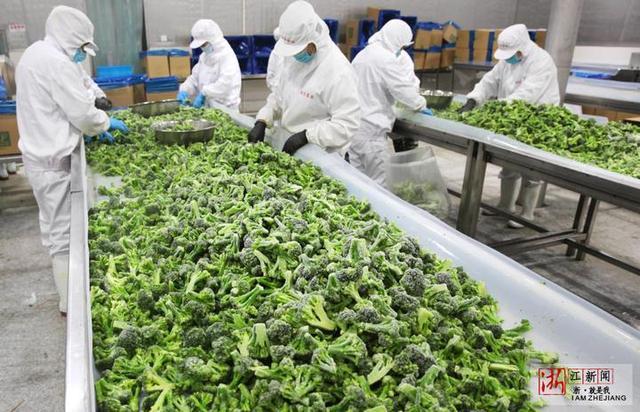 温岭蔬菜精深加工 延伸产业链，鼓起农民钱袋子