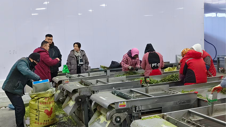 东风镇 深入调研农产品深加工情况，推动食用农产品初加工与产业链延伸