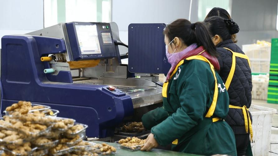 延长产业链，提升附加值 食用农产品初加工的战略路径